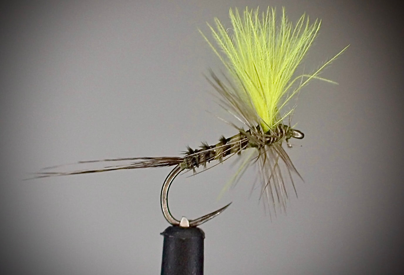 HiVis CDC BWO
