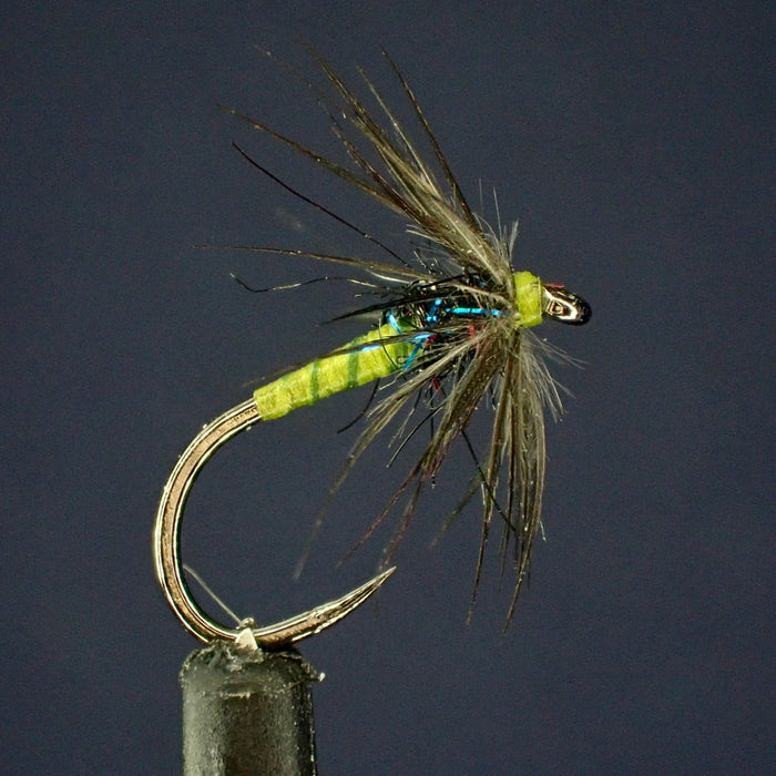 Exploring the Starling and Olive Soft Hackle Spider Fly Pattern