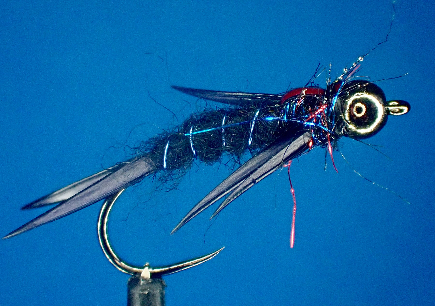The Stonefly: A Vital Food Source for Fish