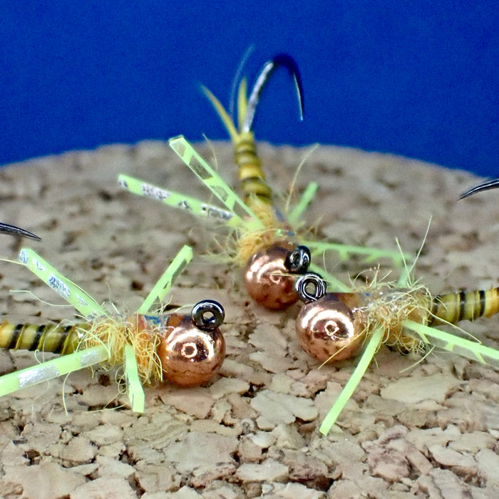 The Enchantment of Golden Stoneflies