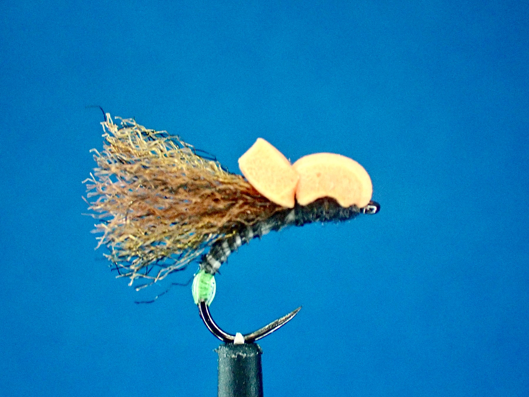 Unveiling the Egg Laying Black Balloon Caddis: A Match for the Elusive Black Caddis