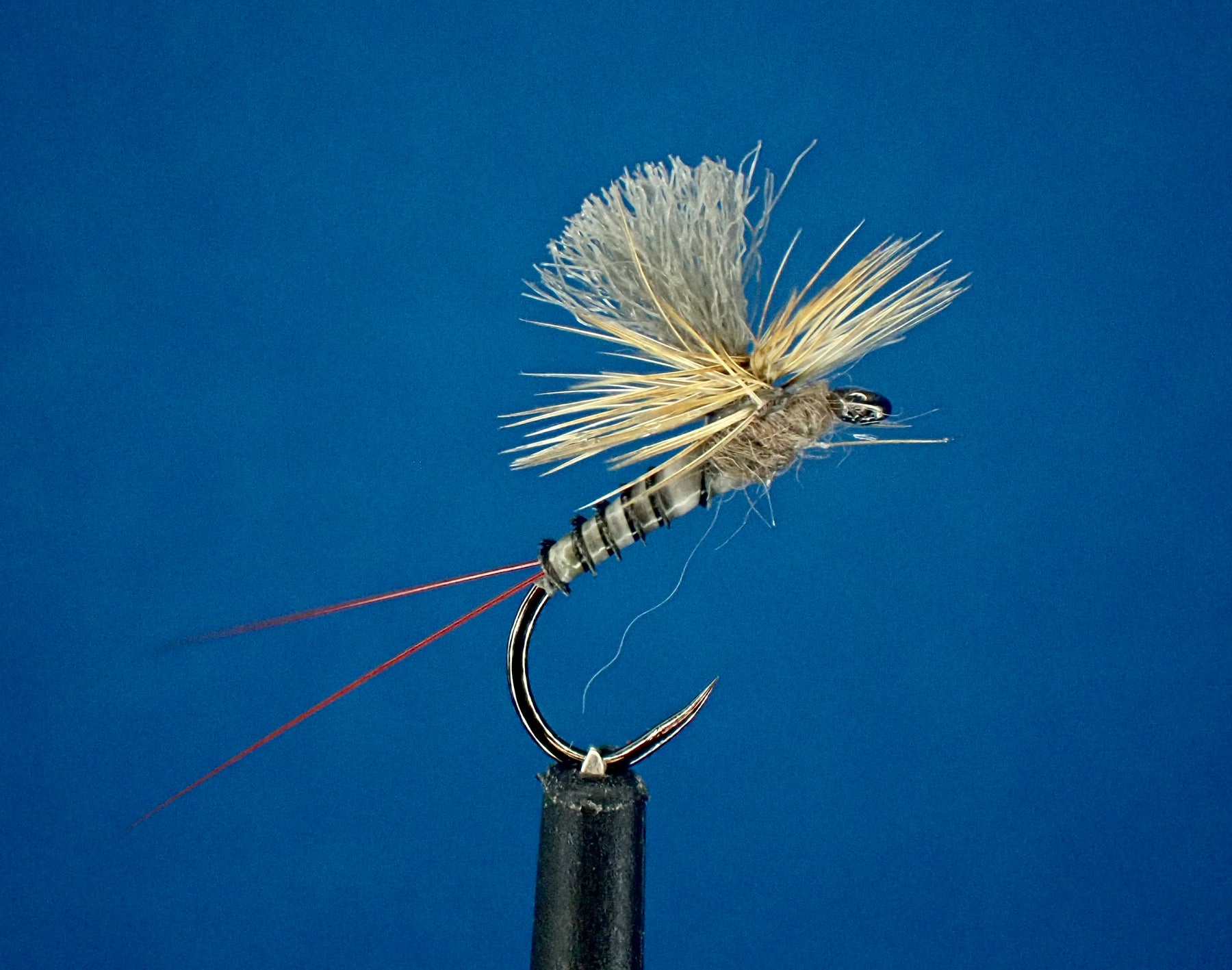 Elevate Your Fly Fishing Game with the Parachute Adams Variant Dry Fly