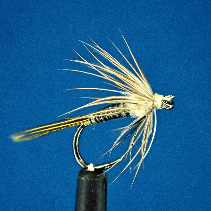 Chasing the Pale Morning Duns: A Fly Fisher's Adventure