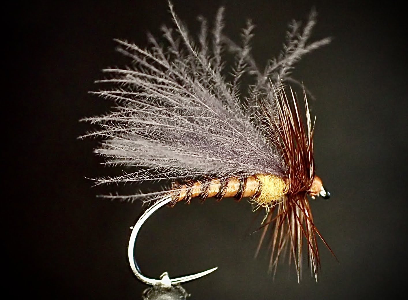 October CDC Biot Body Caddis
