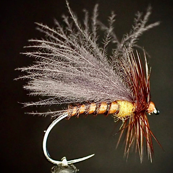 October CDC Biot Body Caddis