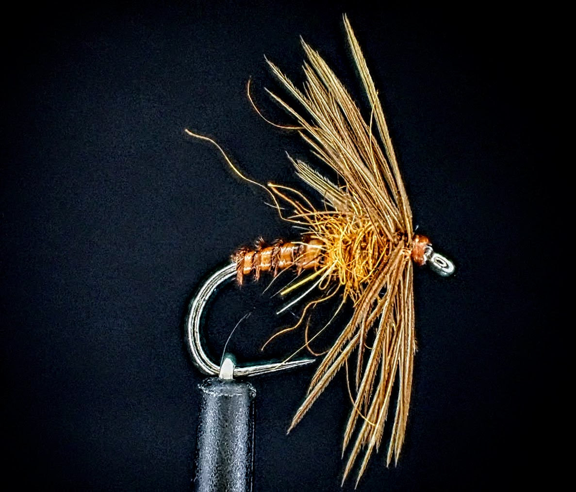 October Spider Caddis Soft Hackle Pattern