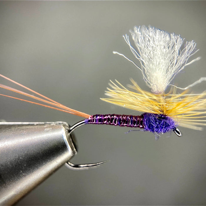 Purple Haze Dry Fly