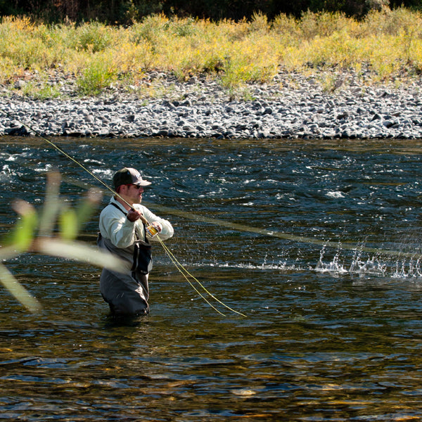 The Clearwater Steelhead Syndicate