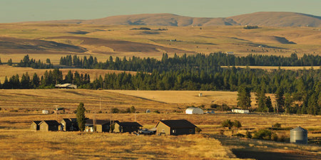 The Steelhead Ranch