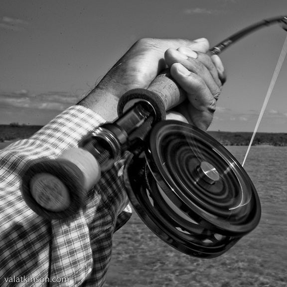 Leland, Custom - Permit/Tarpon Fly Line, 10wt - Blue