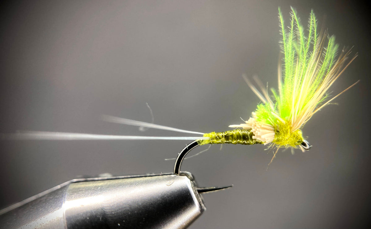 Blue Winged Olive Fly (BWO) — Leland Fly Fishing