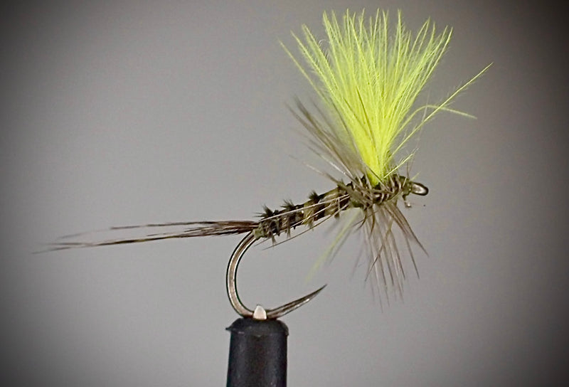 HiVis CDC BWO 
