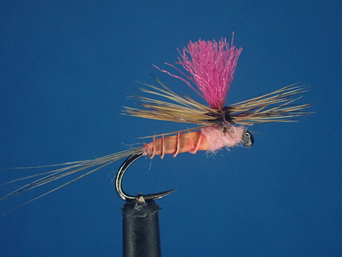 Unveiling the Elegance of the Pink Albert Fly Pattern: A Time