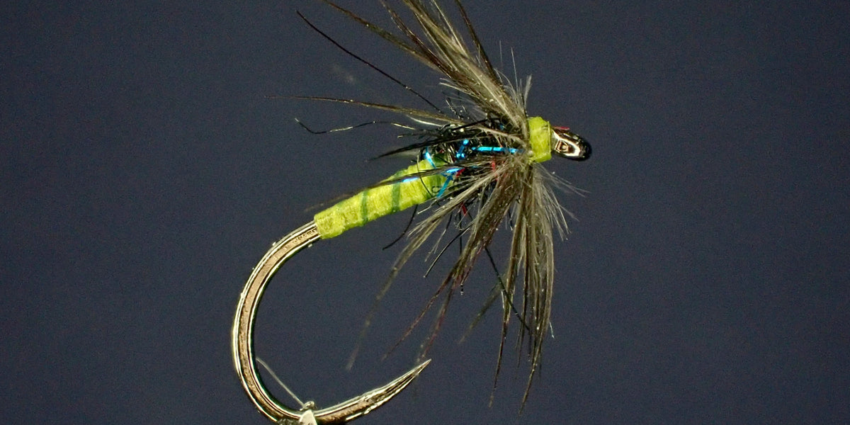 Exploring the Starling and Olive Soft Hackle Spider Fly Pattern ...