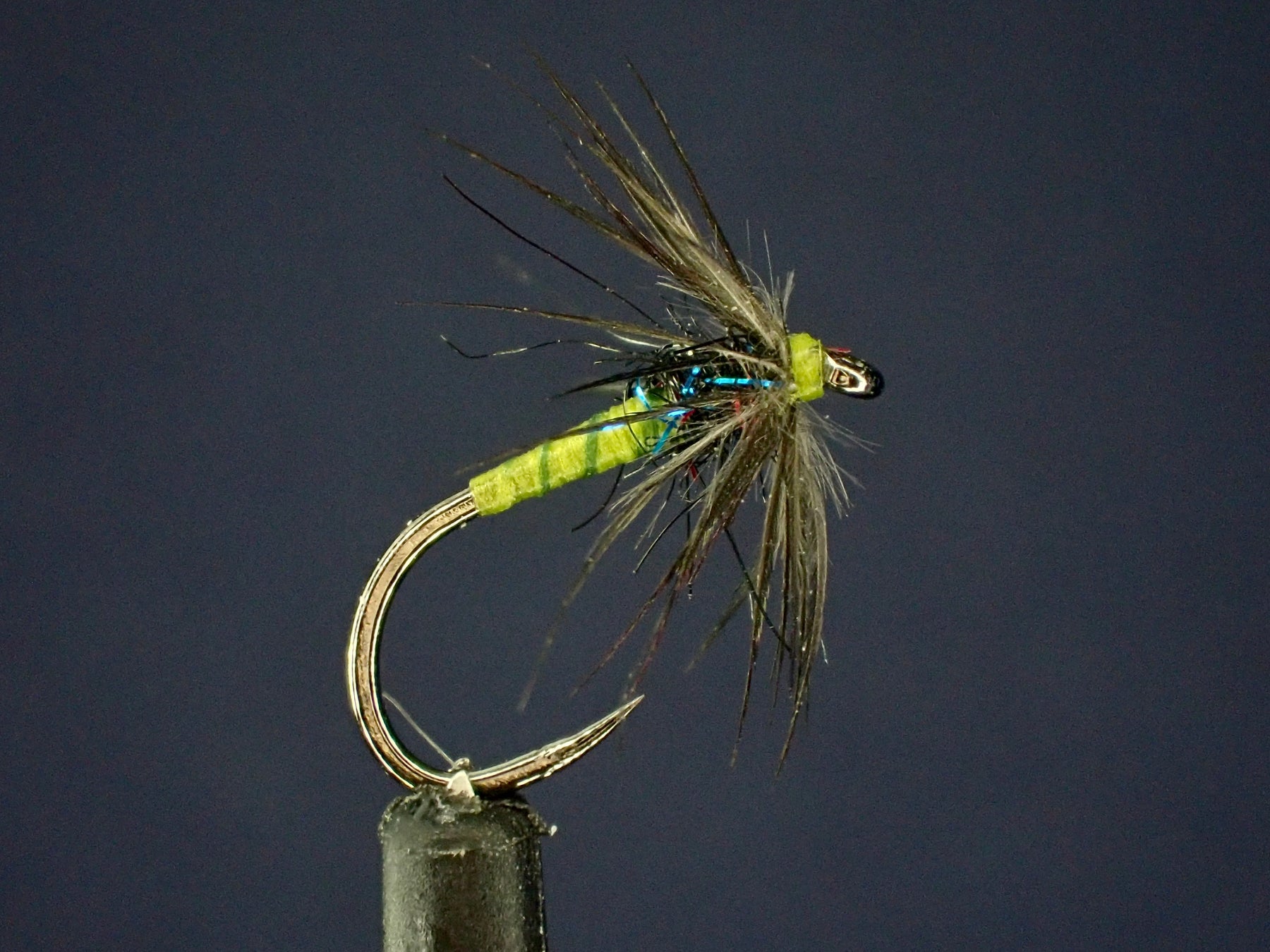 Exploring the Starling and Olive Soft Hackle Spider Fly Pattern — Leland Fly  Fishing