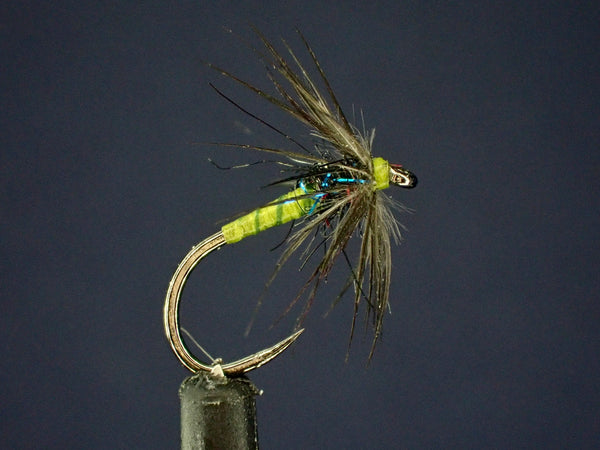 Exploring the Starling and Olive Soft Hackle Spider Fly Pattern