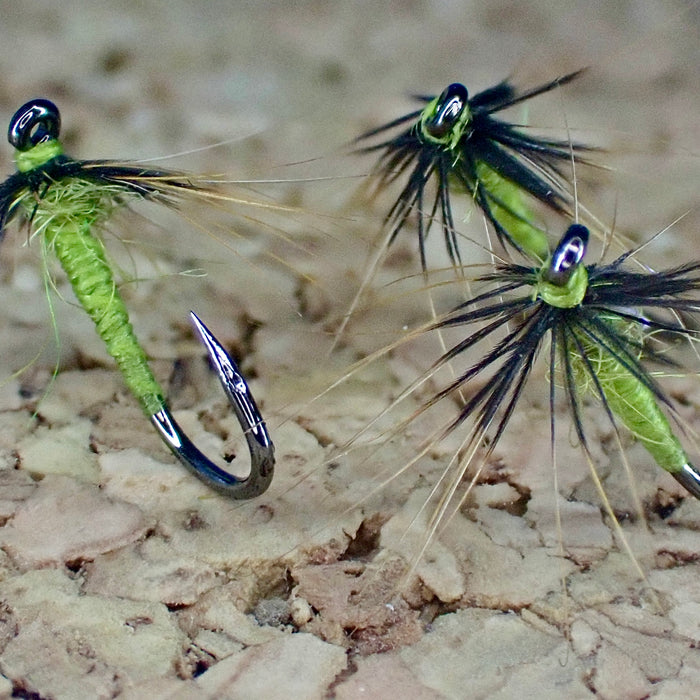 Unveiling the Elegance: The Watery Olive Greenwells Spider Pattern
