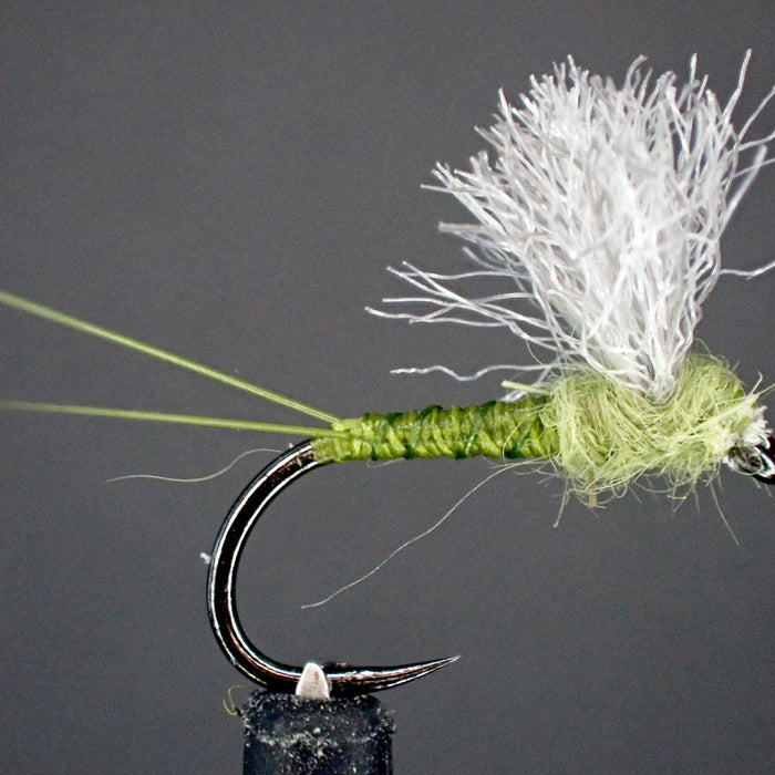 The BWO Guide’s Choice Comparadun: A Go-To Fly for Every Angler's Box