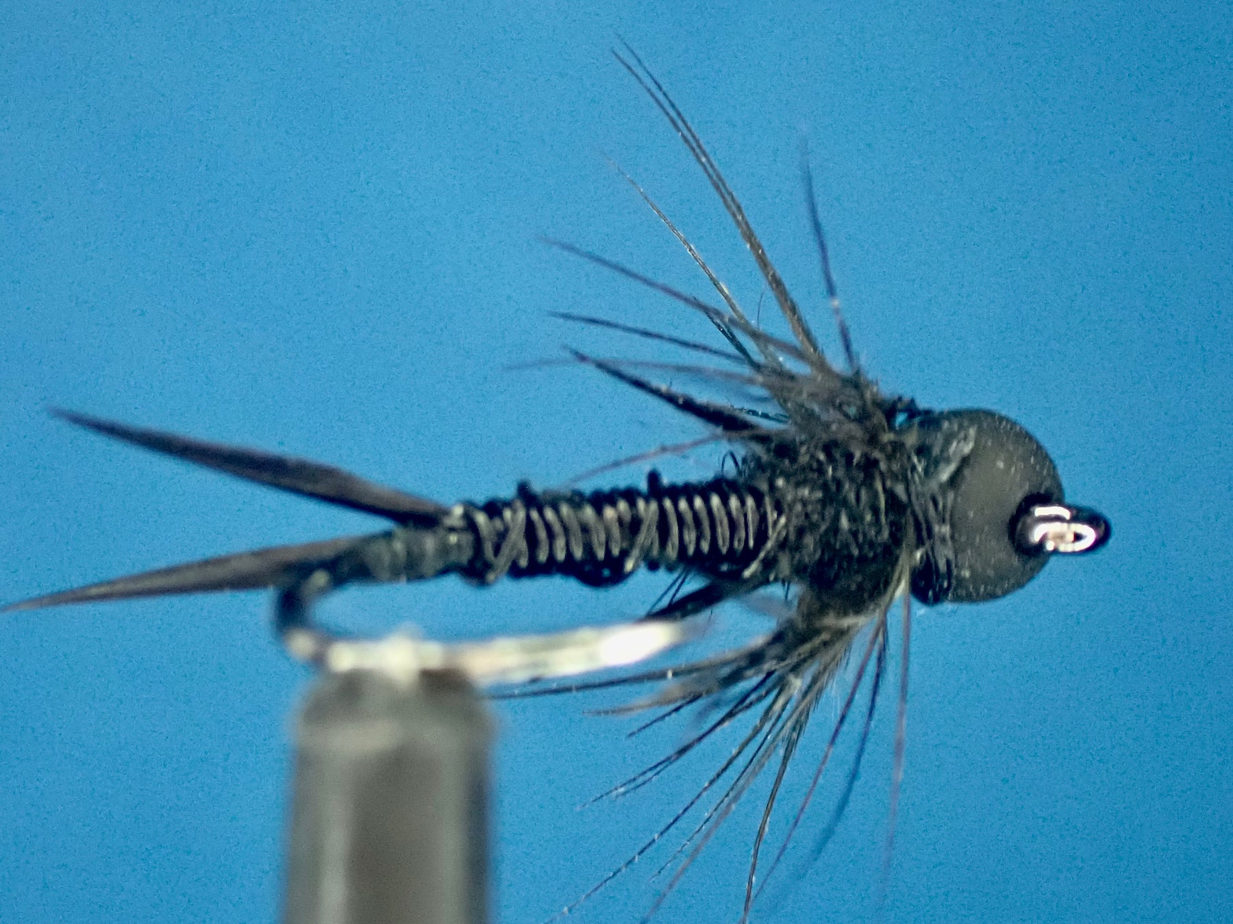 Tie Your Adventure: The Little Black Stonefly Soft Hackle Nymph