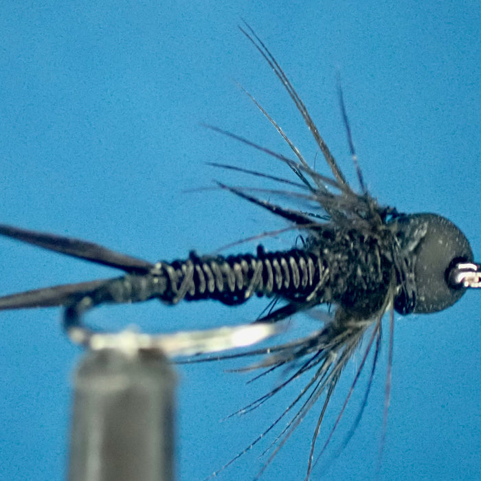 Tie Your Adventure: The Little Black Stonefly Soft Hackle Nymph