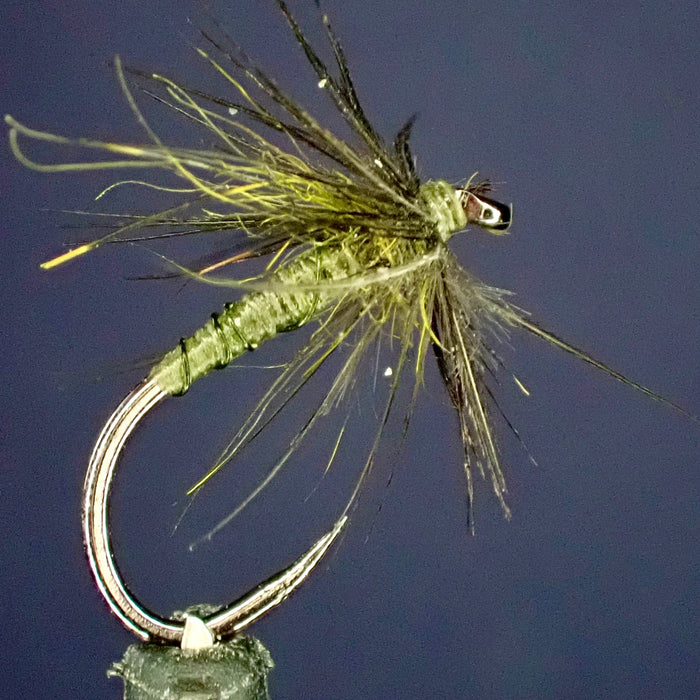North Country Magic: Fly Fishing with the Starling & Olive Soft Hackle Spider