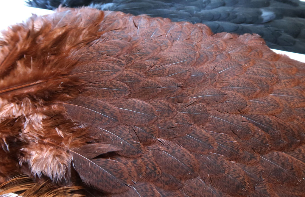 Whiting Brahma Hen Saddle | Whiting Farms — Leland Fly Fishing