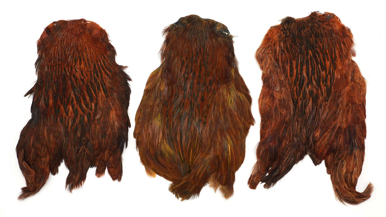 India Hen Neck feather patch (Moonlit)