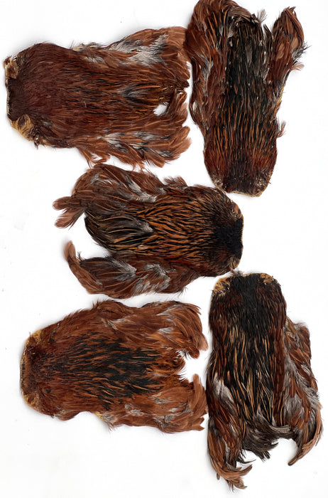 India Hen Neck feather patch (Moonlit)