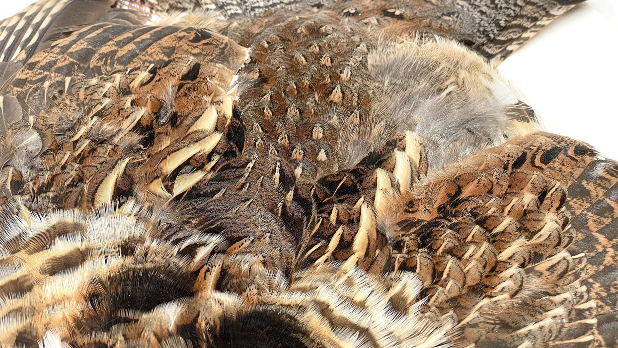 Ruffed Grouse Skin - Fly Tying Feathers