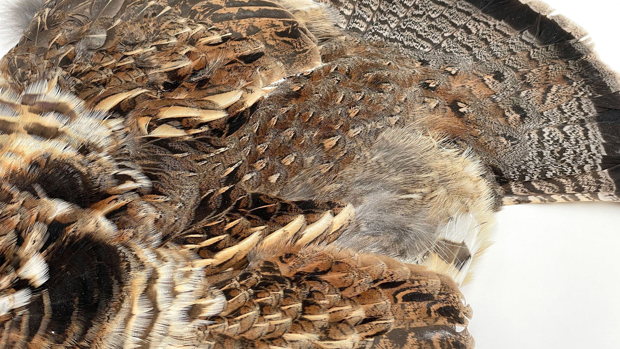 Ruffed Grouse Skin - Fly Tying Feathers