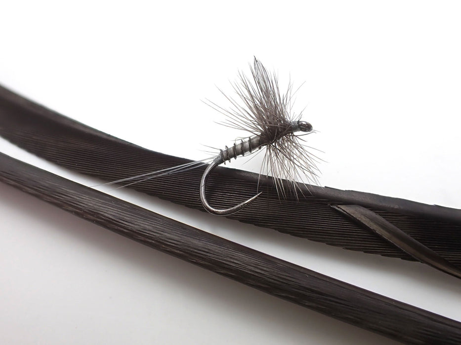 Magpie Wild Barred Turkey Biot Quills