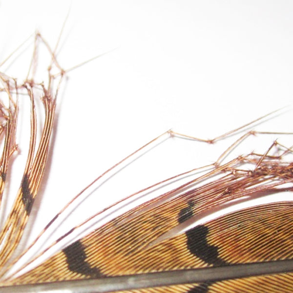 SemperFli Single Knee Knotted Pheasant Tail For Legs