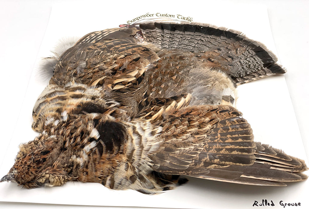 Ruffed Grouse Skin - Fly Tying Feathers — Leland Fly Fishing